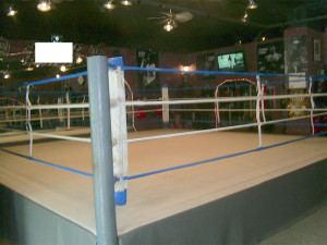 12 Boxing Ring Marina Del Rey