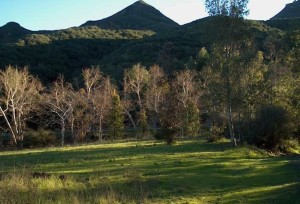 18,001 Field, Creek, Land, Agoura Hills