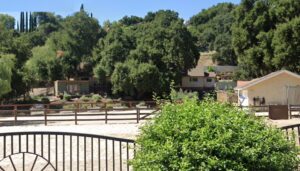 #2108 Ranch House with Horses and Ring Agoura Hills