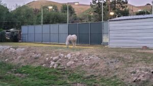 #6140 Ranch House with Horses, Tennis Court Agoura Hills